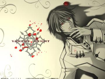 Vampire-Knight-5787.jpg