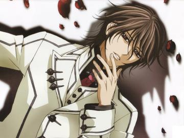 Vampire-Knight-79169.jpg