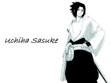 Sasuke 12.jpg